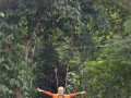 Tn DSC 4275